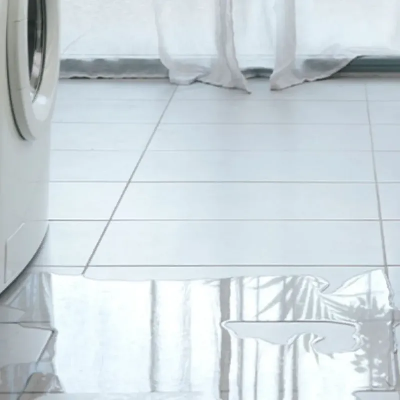 Appliance Leak Cleanup in Elsa, TX